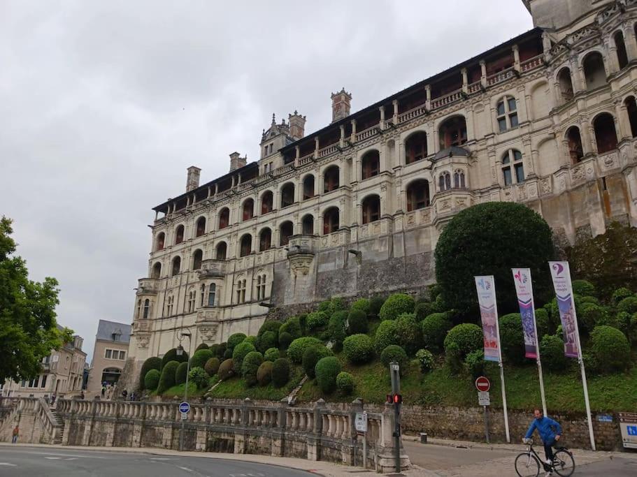 T2 Cosy A Deux Pas De La Loire Blois